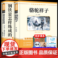 骆驼祥子和钢铁是怎样炼成的正版书籍原著海底两万里七年级下册7年级配套新教材人教版必读的非完整版课外书目老师初一2名著阅读