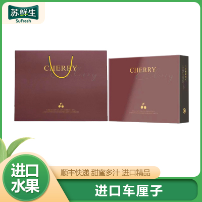 礼盒装[苏鲜生]顺丰空运 智利进口车厘子 JJ 净重5斤装 应季车厘子 新鲜水果 酸甜可口