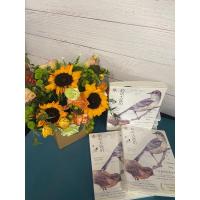 聆听大陆的歌声 从大西洋到太平洋,一路单车伴鸟鸣