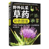 正版新书]野外认采草药彩色图鉴(16开四色平装)吴棣飞,蔡进章