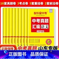 语数英物化[2024版5本套装] 山东省 [正版]2024版山东中考真题汇编语文数学英语物理化学2023年山东中考真题智