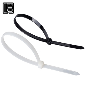 顺心捷 自锁式尼龙扎带 5×300mm 250根/包