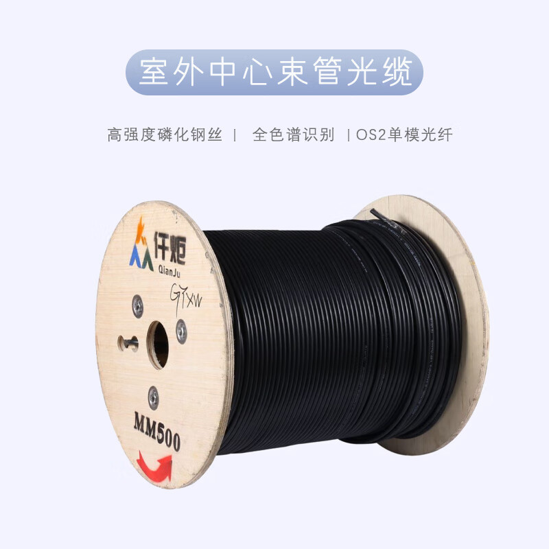 仟炬QJGL-W20B52DPE-12BK室外中心束管平行钢丝铠装光缆,单模G.652D,12芯,PE护套,黑色/米