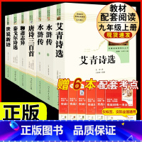 [人教版7册]九年级上册名著 [正版]「九年级上册」聊斋志异 原着文言文人民教育出版社 初三初中生必读课外阅读书籍 语文