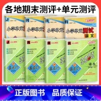8本❤❤[各期期末卷+单元卷]人教语数英+[科学]教科版 六年级下 [正版]2024秋孟建平各地期末试卷精选一二三年级四