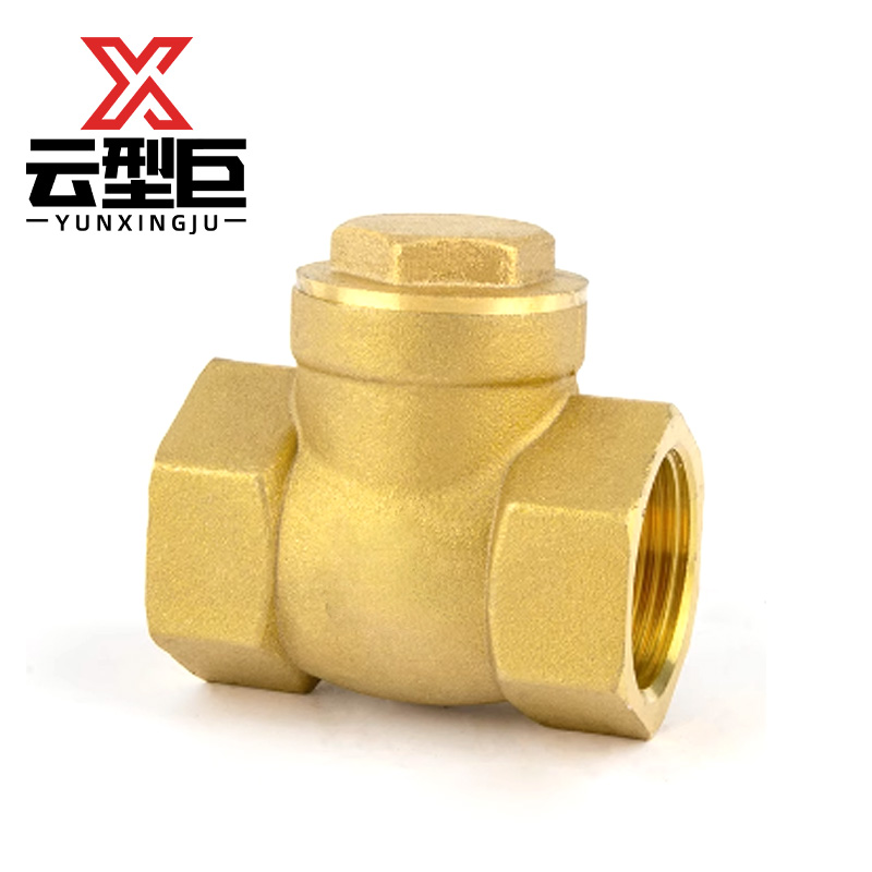 云型巨 铜卧式止回阀 DN40 个