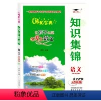 知识集锦语文 小学通用 [正版]2023新知识集锦升级版大字护眼全国版1-6年级统编语文知识大全JYXX