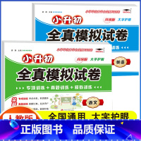 全真模拟试卷 语文+英语[2本] 小学升初中 [正版]2023年小升初分班全真模拟试测试卷初一入学必刷题人教版语文数学英