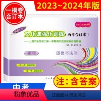 道德与法治 上海 [正版]2023-2024年版领先一步中考一模合订本道德与法治试卷两年合订本文化课强化训练上海市初三初