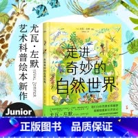 走进奇妙的自然世界(精) [正版]书店一粒种子的旅行 7-12岁小学生书籍青少年儿童文学儿童绘本故事童书 德国儿童图书L