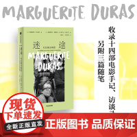 迷途 杜拉斯谈电影 玛格丽特·杜拉斯著 收录14部电影相关手记 访谈录及3篇随笔 法国左岸派代表人物 中信出版社图书