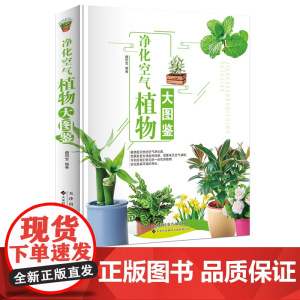 净化空气植物大图鉴 彩图版 植物百科大全书籍 植物功效解读习性介绍 植 曲同宝 天津科技翻译出版公司 正版书籍