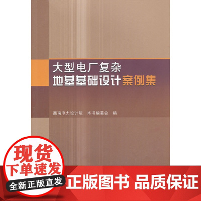 大型电厂复杂地基基础设计案例集 西南电力设计院本书编委会 中国建筑工业出版社 正版书籍