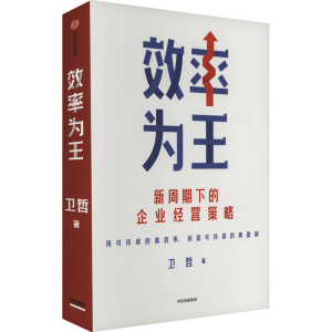 正版新书]效率为王卫哲 著9787521773064