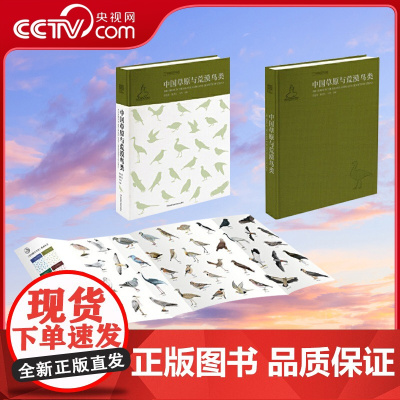 中国草原与荒漠鸟类 600余幅精美手绘 1000余张鸟类野外生态照 呈现中国草原与荒漠生态系统的风貌和其中300余种草原