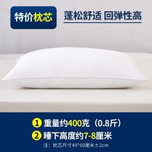枕头枕芯一对装酒店家用椎枕单人双人学生宿舍整头男春夏秋冬季