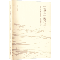 音像"现实"的浮出 中国文学中的现实描写(日)小松谦