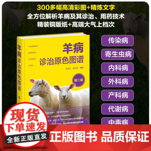 羊病诊治原色图谱(第二版)马玉忠 金东航主编9787122451538