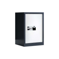 湘渭保密柜财务档案柜文件柜办公室资料储物柜保险柜 单门灰+白-国保指纹锁