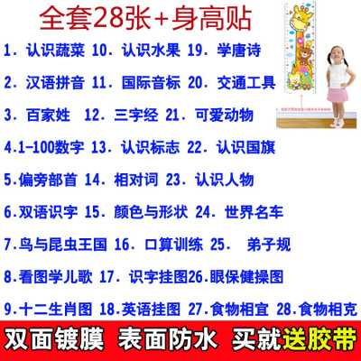 认字图书幼儿童小孩挂图阅读识字图画海报幼小3-6岁贴纸宝宝小儿全28张早教挂图+身高贴