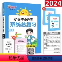 [正版]2024新小升初系统总复习数学小升初真题卷人教版六年级上下册小学升初中总复习资料思维专项训练小考冲刺必辅导资料