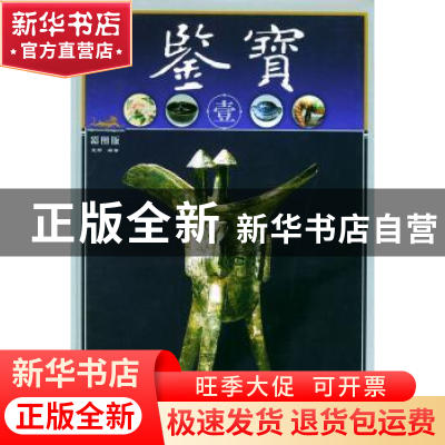 正版 鉴宝:彩图版:伍 望野编/望野 大象出版社 9787534734403 书