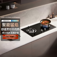 老板(Robam)燃气灶20B0AS煤气灶5.2KW大火力猛火灶 64%热效率小尺寸可调节底盘天然气 20B0A升级款