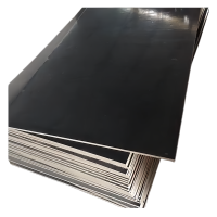 满盛达建 建筑模板 1220*2440*10mm 张