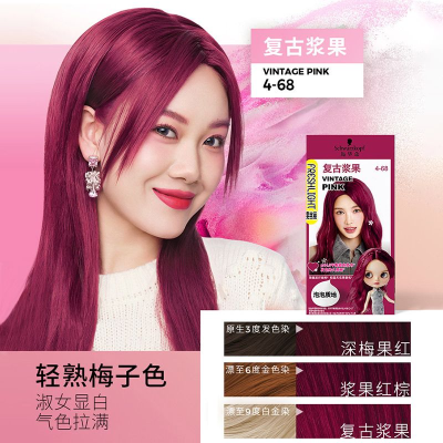 施华蔻泡泡染发剂染发膏2025流行色自己在家染氨基酸泡沫染发霜110ml复古浆果