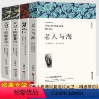 [全4册]大卫科波菲尔上下册+老人与海+复活 [正版]大卫科波菲尔上下册+老人与海+复活全4册 世界名著中文无删减版长篇