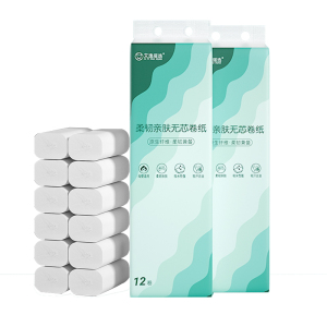 艾逸瑶选 柔韧亲肤无芯卷纸24卷1600克 5层/节 AYYX800-24