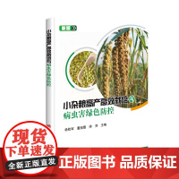 小杂粮高产高效栽培与病虫害绿色防控 9787511653505 徐钦军 董旭霞 帅芬 编 中国农业科学技术出