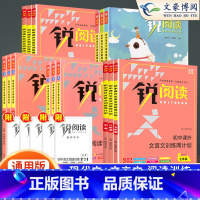 语文阅读训练五合一 九年级/初中三年级 [正版]锐阅读初中语文阅读训练五合一七年级八年级九年级中考现代文阅读理解训练10