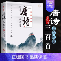 [正版]唐诗三百首全集完整版300首无删减 原文注释译文彩图版 全解详注中国古诗词鉴赏 传统文化国学启蒙 初中生小学生课