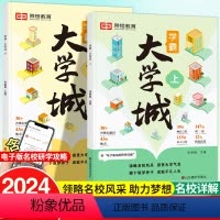 [全3册]成为学霸从大学选起+这才是我要的大学 全国通用 [正版]学霸大学城2024上下从大学选起给孩子的启蒙书籍高考志
