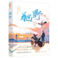 正版新书]驰野丁十三9787551151733