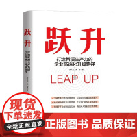跃升 打造新质生产力的企业高端化升级路径 张文彬等 著 管理
