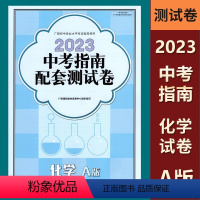 测试卷-化学A版 九年级 [正版]2023广西中考指南总复习配套测试卷化学A版 广西初中学业水平考试指导用书 中考专项分
