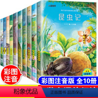 [正版]法布尔昆虫记爱的教育鲁滨逊漂流记四大名著全套10本注音版小学生一二三四五年级课外阅读必读书儿童世界经典名著带拼