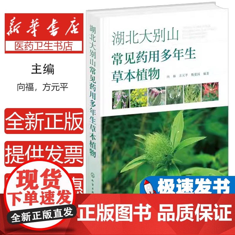 湖北大别山常见药用多年生草本植物向福、方元平、甄爱国 编著化学工业出版社9787122442826医学卫生/药学