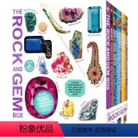 岩石与宝石 [正版]DK The Car Book Bicycle Aircraft Train Motorbike 汽