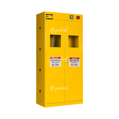洛诗莲 LSL4041362气瓶柜全钢气体防爆柜气罐储存柜 黄色双瓶一代报警