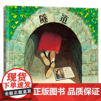 [全新正版]隧道(安东尼·布朗作品,兄妹之间的矛盾与情感)