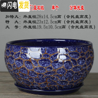 三维工匠28厘米陶瓷花盆特大号植物盆栽花盆君子兰花大花盆陶瓷带托盘 QF-1771蓝石纹 外直径约19cm花盆容器