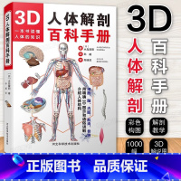 3D人体解剖百科手册 [正版]3D人体解剖百科手册 (日)水岛章阳 著;孙越 译 著 外科学生活 书店图书籍 河北科学技