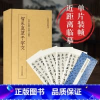 智永真草千字文 [正版]智永真草千字文墨迹 近距离临摹卡片碑帖丛刊高清原碑帖单片装帧便临摹简体旁注 中国碑帖名品教程 行