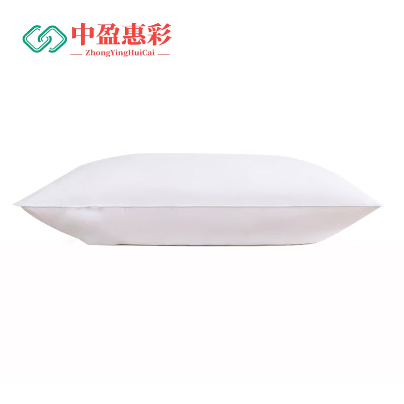 中盈惠彩 枕芯 ZX48 48*74cm 1个