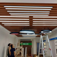 线条灯(白色1200*100)包含安装及发票