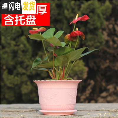 三维工匠波浪花边莲花盆塑料树脂仿陶型大花盆多肉绿萝花盆可水培送托盘 粉色[开孔留言] 中号[口径19cm]10个花盆容器