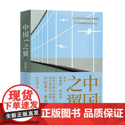 中国之翼 詹东新 著 文学